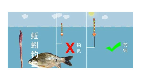 套圈钓鱼技巧与乐趣全解析