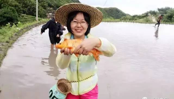 口碑农场垂钓记：一竿一线乐逍遥