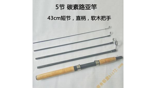 短节钓鱼竿便携灵活垂钓新选择