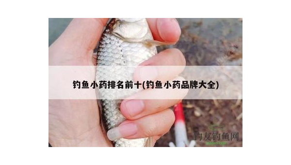 钓鱼小药虾腥奶的实战应用与效果解析