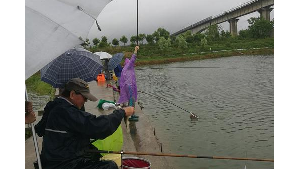 铜陵餐饮垂钓：美食与休闲的完美融合  